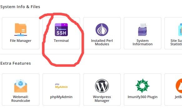 terminal wordpress 
